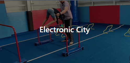 Electronic City branch